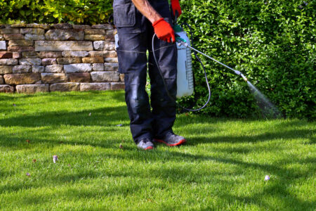 How Often Do I Need to Schedule Regular Pest Inspections?