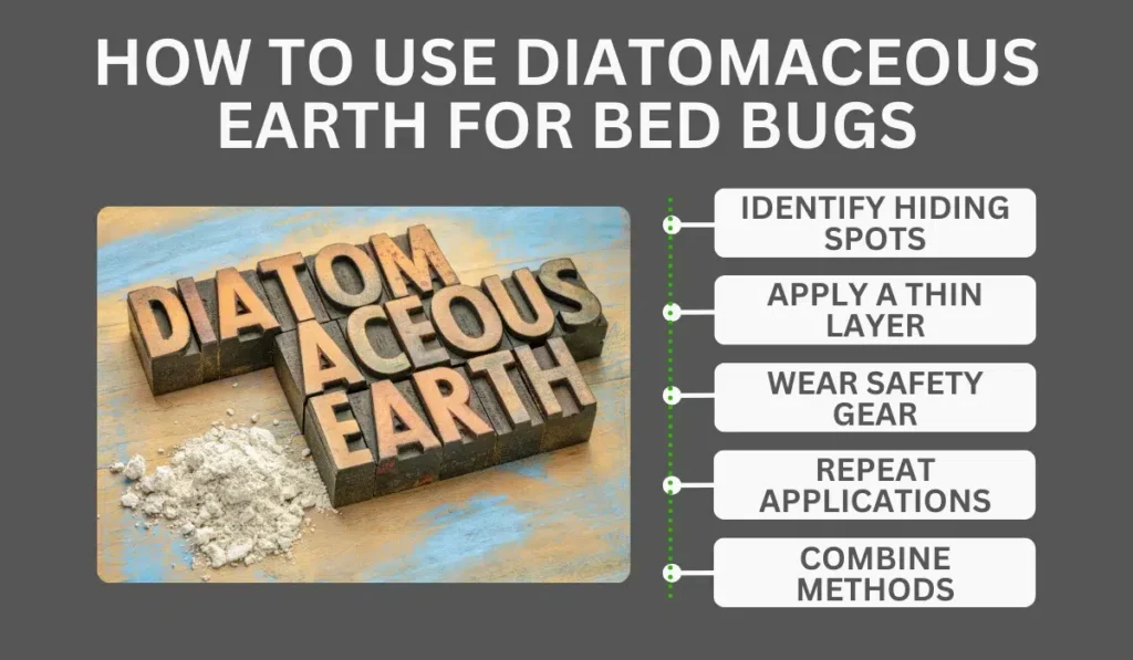 How To Use Diatomaceous Earth For Bed Bugs