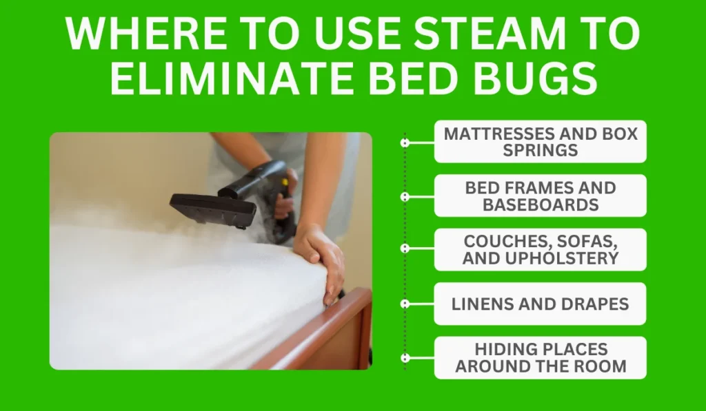 Where To Use Steam To Eliminate Bed Bugs