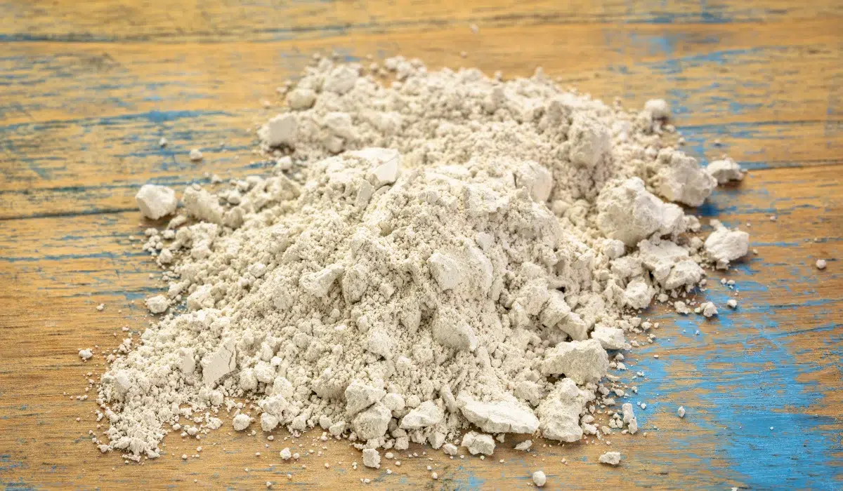 Food Grade Diatomaceous Earth Supplement (1)