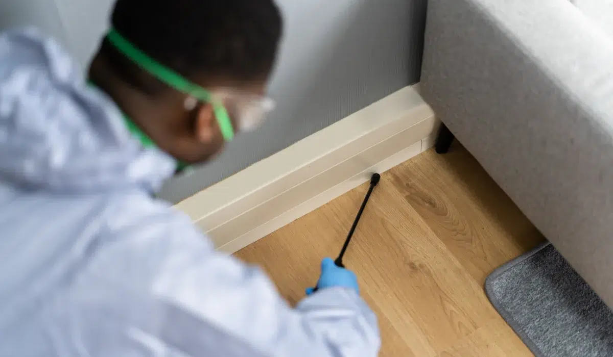 Termite Treatment