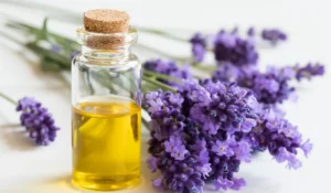 Lavender Oil