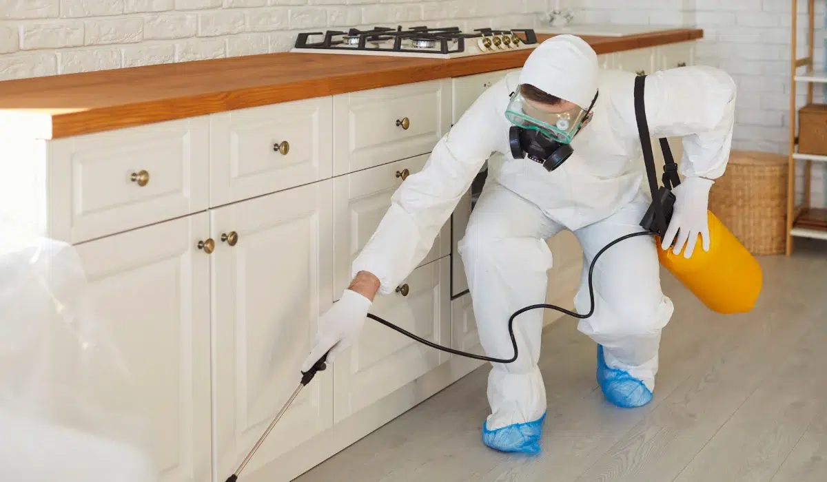 Fall Pest Control Az