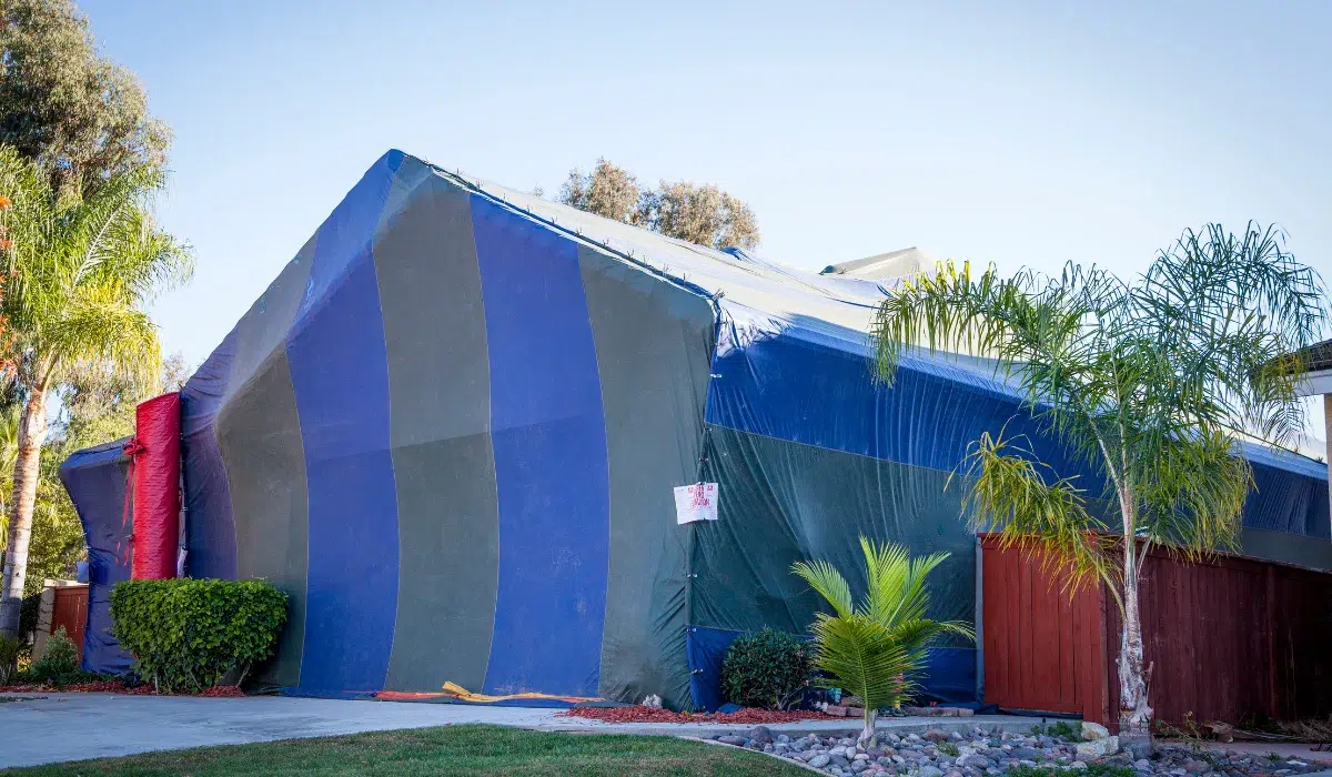Termite Fumigation