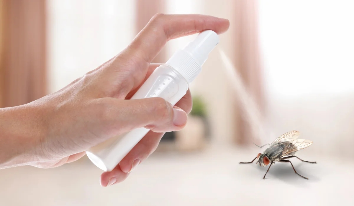 Woman Using Fly Spray In Room