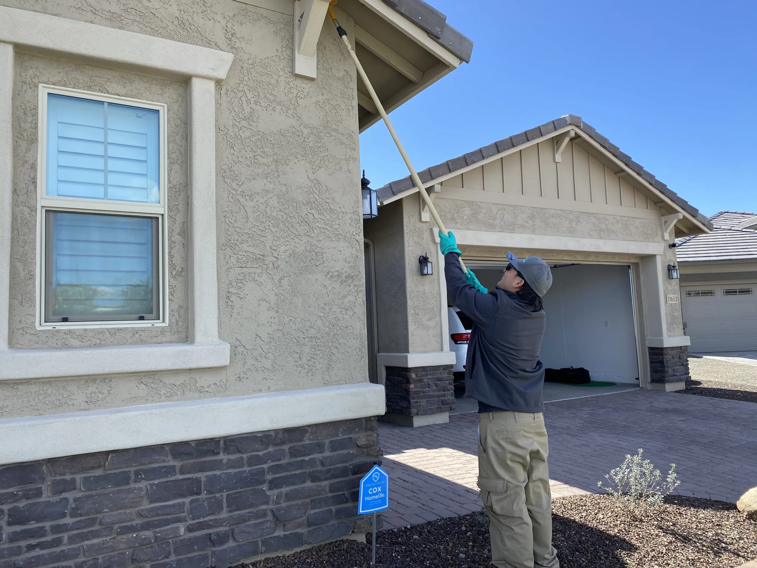 Web removal and dewebbing