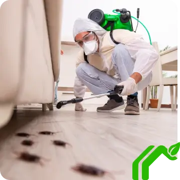 Pest Control