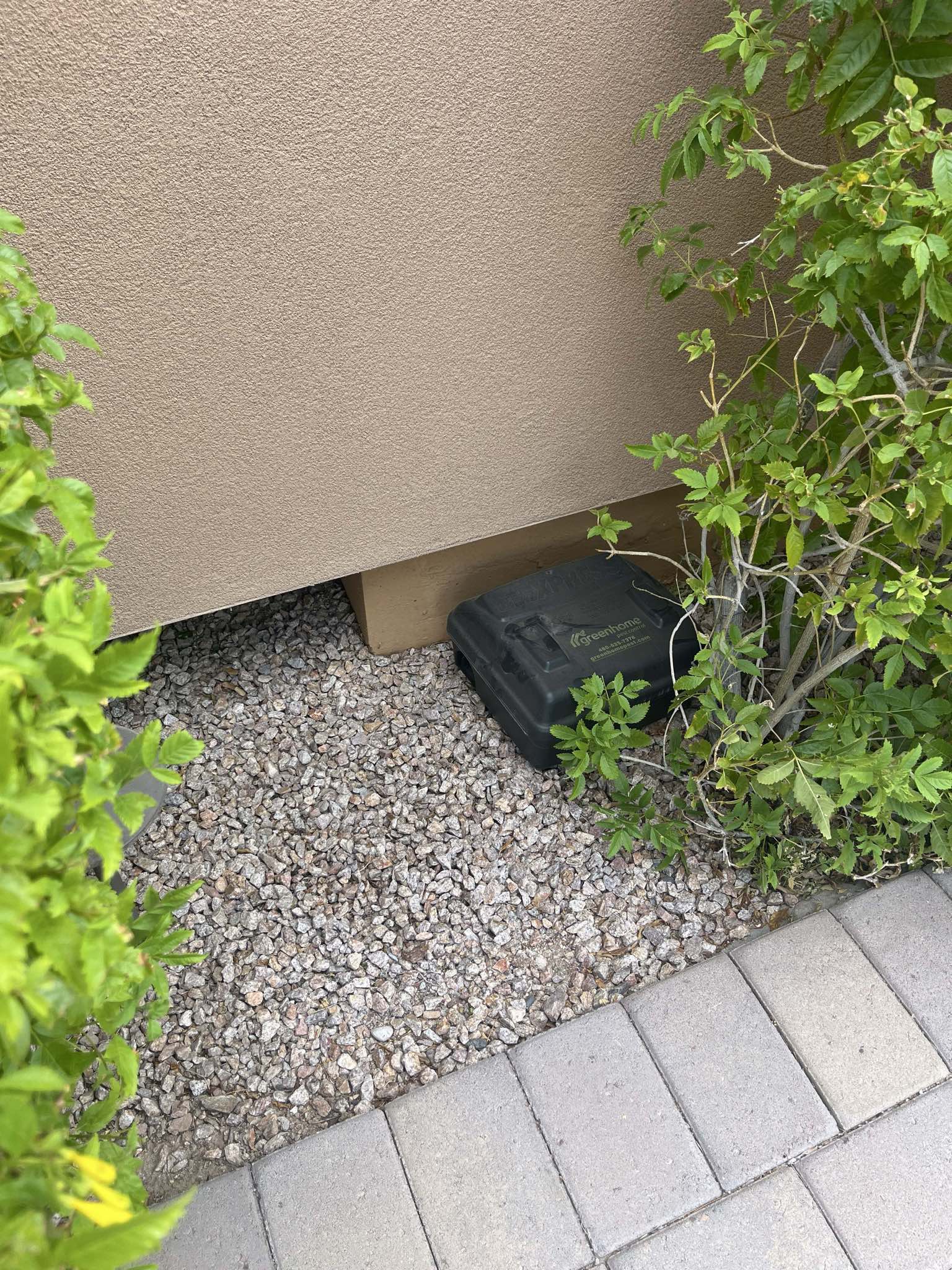 Rodent bait stations