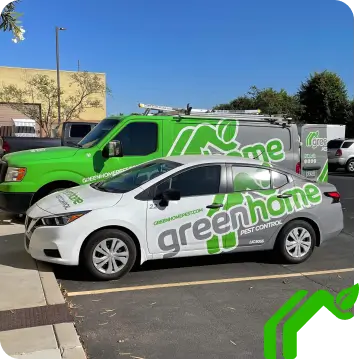Accent Image 1