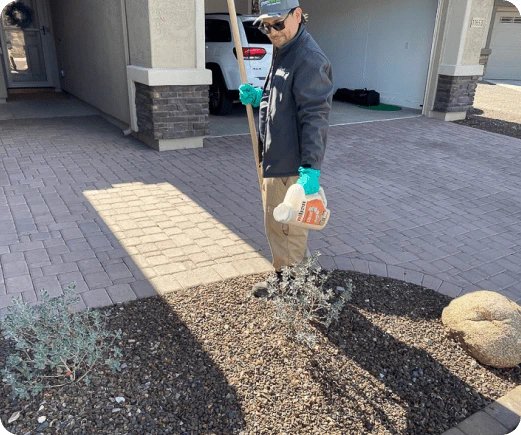 Whole-room heat treatment