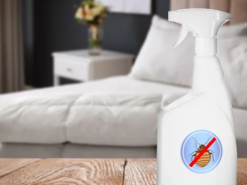 Anti bed bug spray on wooden table in bedroom