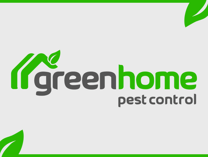 DIY Vs. Professional Pest Control In Phoenix