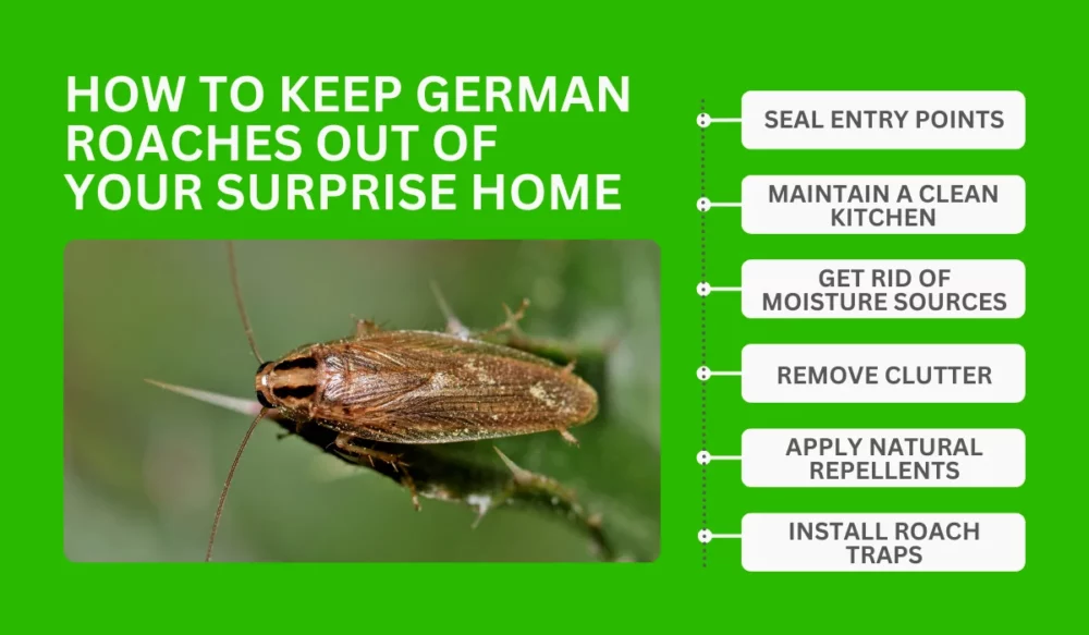 How To Keep German Roaches Out Of Your Surprise Home