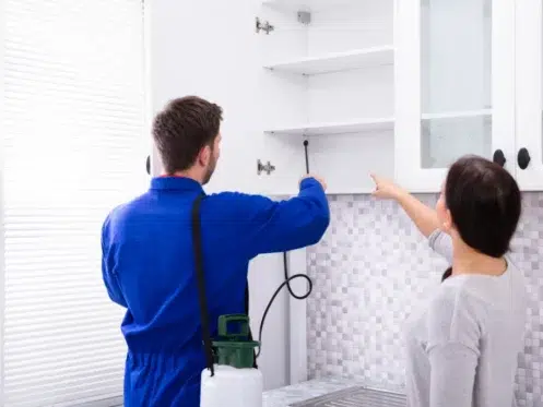 Pest Control Worker Spraying Insecticide On Shelf