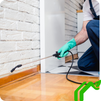 Residential Pest Control In Phoenix, AZ