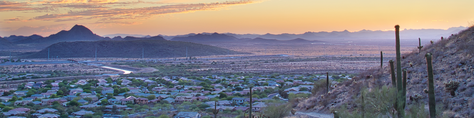 Image showcasing 25 Natural Home Remedies for Bed Bugs - Sleep Advisor