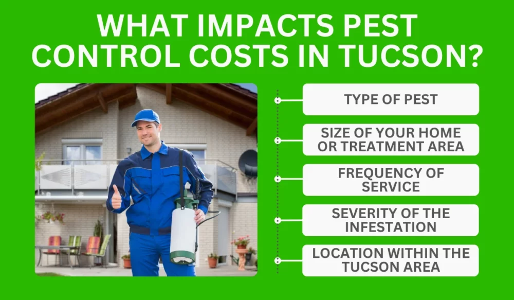 What Impacts Pest Control Costs in Tucson