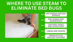 Where To Use Steam To Eliminate Bed Bugs