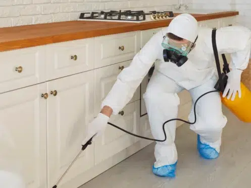 fall pest control az