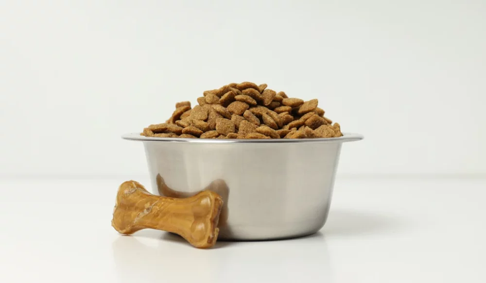 pet bowl