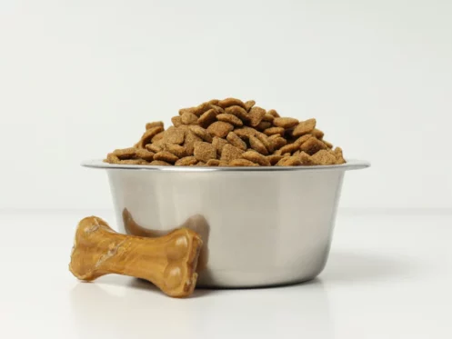 pet bowl