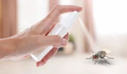 woman using fly spray in room