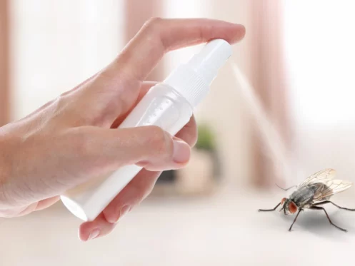 woman using fly spray in room